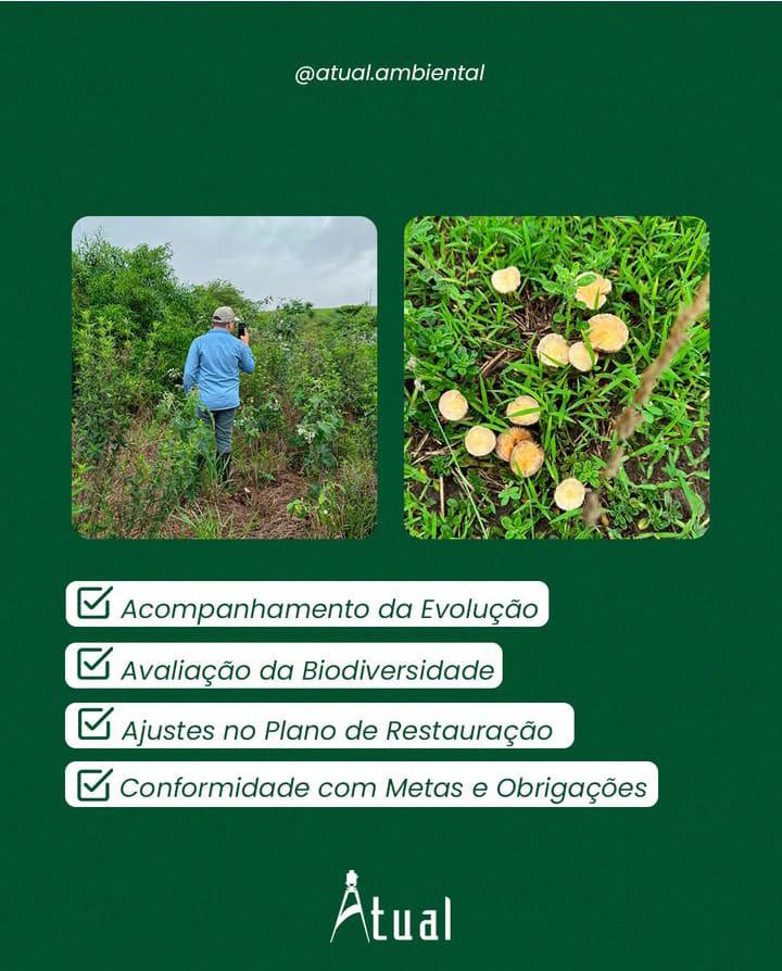 TCRA (Termo de Compromisso de Recuperação Ambiental)